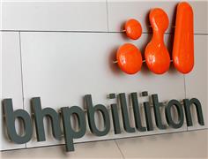 Selling the BHP Billiton Mining Copper Co., Ltd. In Chile, the private sector investor