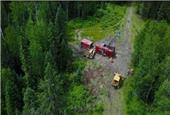 Great Bear drills high grades at Dixie Lake project