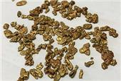 Kairos Minerals recovers hundreds of gold nuggets in the Pilbara