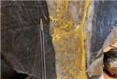 RNC continues large gold finds at Beta Hunt