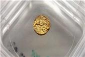 Scientists create 18-carat gold nugget made of plastic