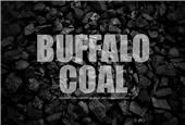 Buffalo Coal appoints CEO, CFO