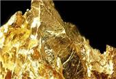 PepinNini plots gold production at Gilded Rose in 2021