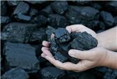 Mining Weekly: Weekly Coal Index Report
