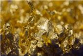 Panellists highlight potential gold investment opportunities
