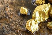 Gold miners insist they won`t splurge despite price surge