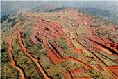 China to build overseas iron ore mines to ensure supply