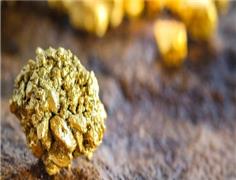 Researchers remove cyanide from gold leaching process