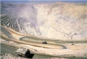 Chinchilla challenge: findings on Gold Fields' relocation efforts due within months