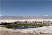 Albemarle facing environmental charges in Chile for over-extracting lithium-rich brine