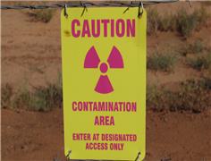 Microbes help deal with uranium in groundwater, spent nuclear fuel repositories