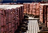 Copper Study Group expects big supply surplus in 2024