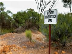 Bendigo mine rehabilitation works continue