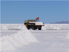 Codelco aims to land partner for Maricunga lithium by next year