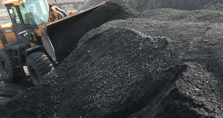 Import Suspension of China`s Coal in December