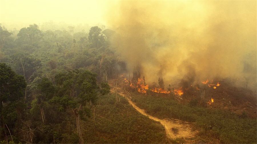 Amazon gold and army suspicion fuel Bolsonaro’s rainforest rage