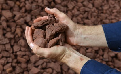 Iron ore could maintain strong prices in new decade