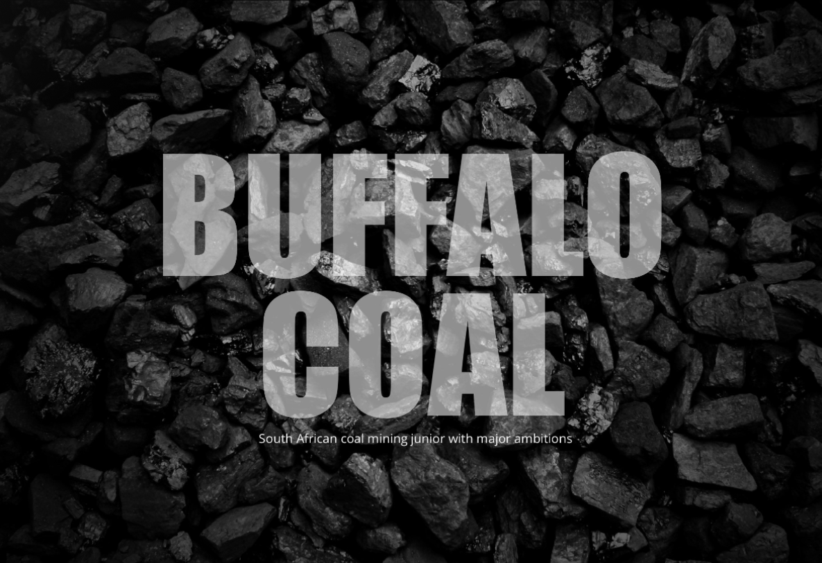 Buffalo Coal appoints CEO, CFO