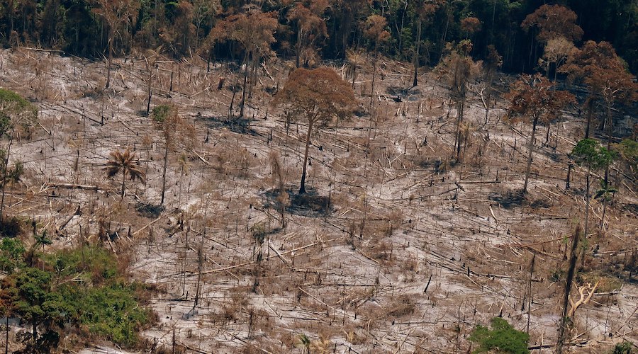 Opening up protected areas in the Amazon to mining may lead to massive forest losses