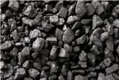 Coal endures as world`s favourite fuel for electricity generation