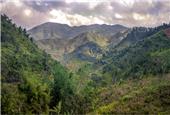 Madagascar’s Ambatovy mine on track to deliver ‘no net loss’ of surrounding forest