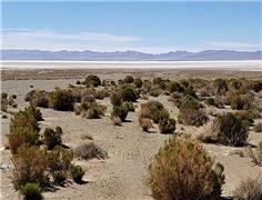 Lithium Energy, Hanaq Group join forces to explore lithium deposits in Argentina
