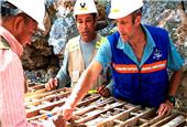 Condor Gold says La India “construction ready”