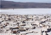 Ganfeng kicks off construction of Mariana lithium project in Argentina