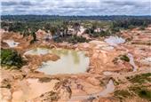 Illegal gold mining in Amazon equivalent to half of Brazil’s production