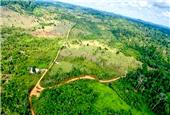 Belo Sun Mining rises after Brazil court overturns halt of Volta Grande gold project