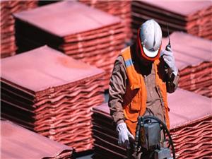 Copper speculators anticipate downturn for market and the world