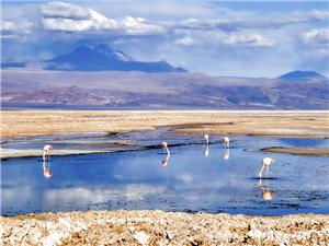 Codelco defends lithium deal ahead of SQM shareholder meeting