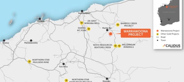 Calidus to produce Warrawoona gold for eight years