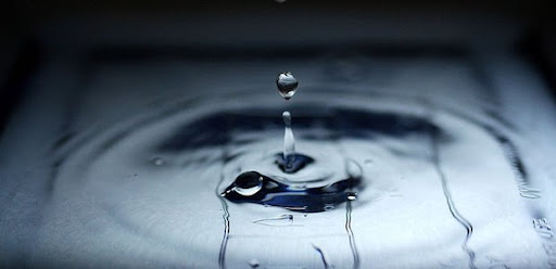 Water Tribunal dismisses appeal against granting of Elandsfontein water-use licence