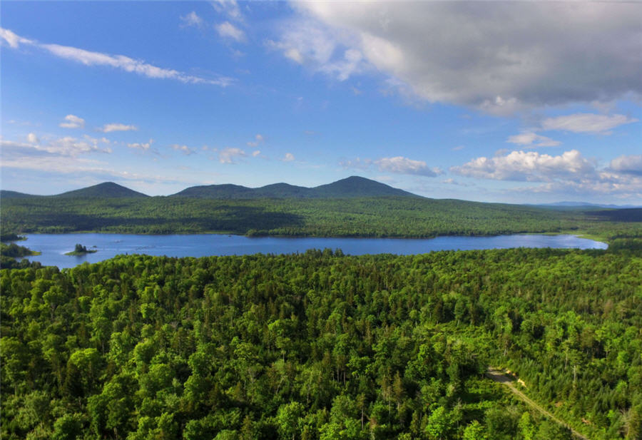 Wolfden boosts resources at Pickett Mountian base metals project in Maine