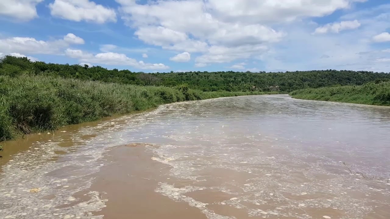 Coal slurry dam spills near historic South African game reserve